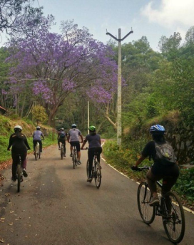 Cycling experience in the hills of Kodaikanal